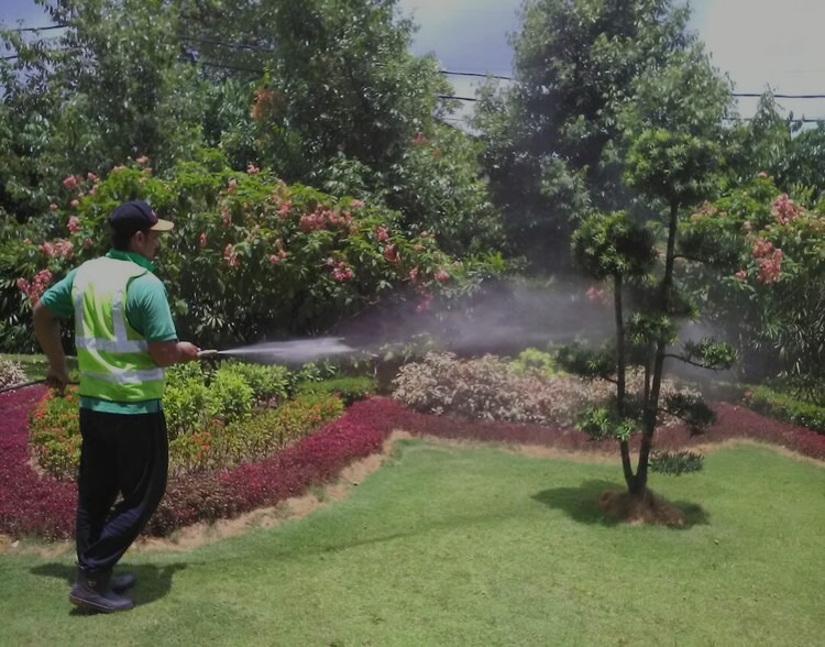 Landscaping Service